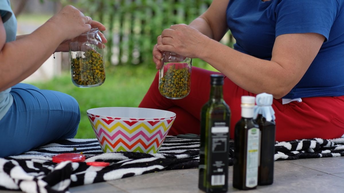 Two women mixing chamomile with oil outdoors for a natural remedy.